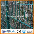 8/6/8 Decorative Powder/PVC Coated Welded Double Wire Fencing